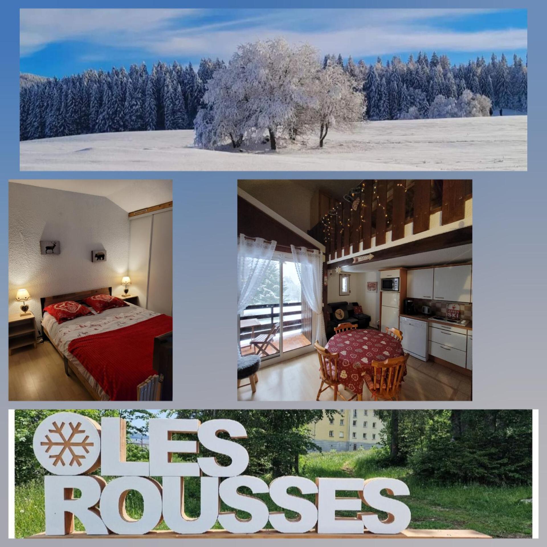 Le Duplex, Superbe Cocon Au Coeur Des Rousses, Tout Confort 5 Pers, Draps Inclus ليه روس المظهر الخارجي الصورة